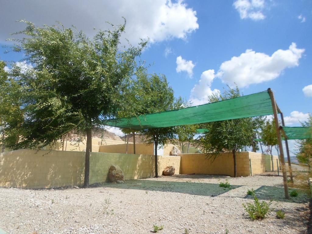Complejo Pueblo Blanco Hotel Olvera Buitenkant foto