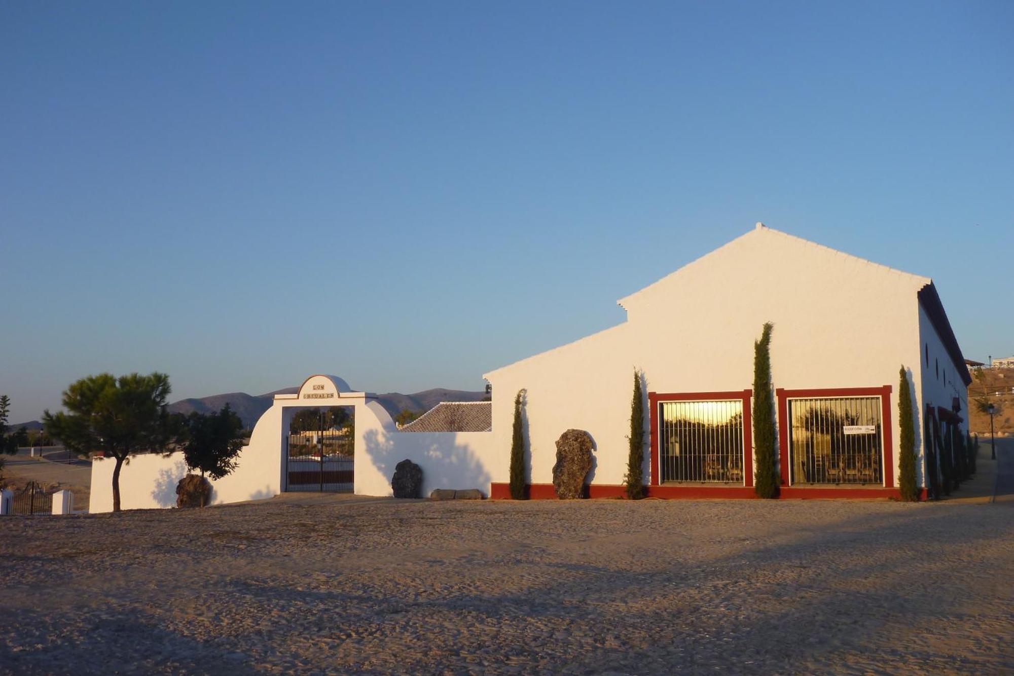 Complejo Pueblo Blanco Hotel Olvera Buitenkant foto