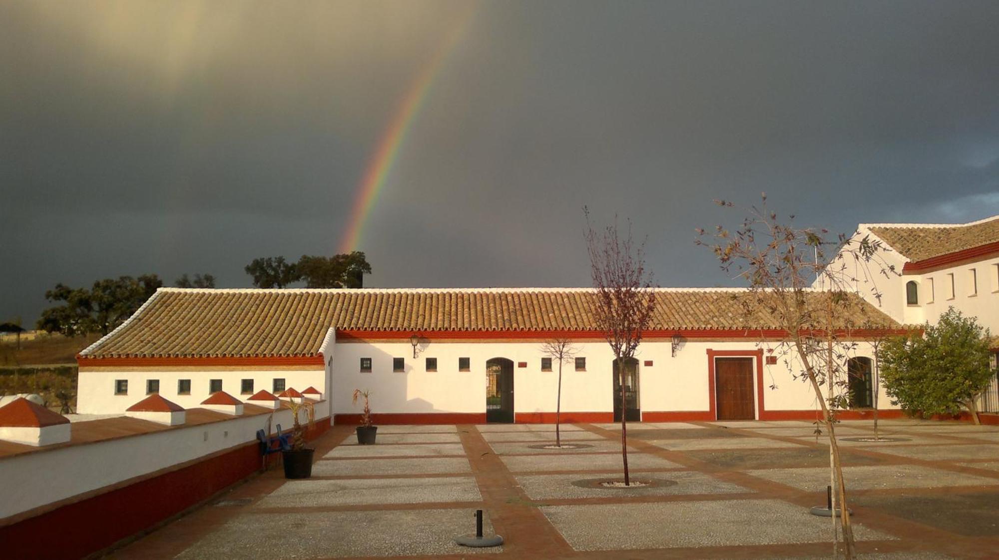 Complejo Pueblo Blanco Hotel Olvera Buitenkant foto